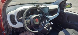 FIAT Panda usata, con Cruise Control