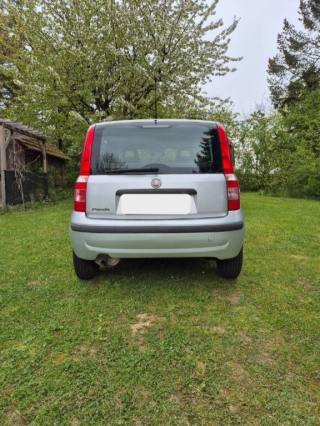 FIAT Panda usata, con Servosterzo