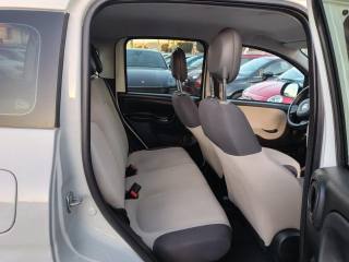 FIAT Panda usata, con Fendinebbia