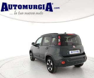 FIAT Panda Cross usata, con Alzacristalli elettrici