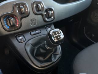 FIAT Panda usata 13
