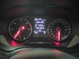 SEAT Ibiza usata 24