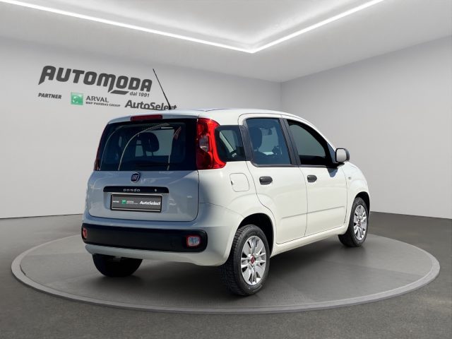 FIAT Panda usata, con Airbag Passeggero
