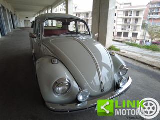 VOLKSWAGEN Maggiolino usata 11