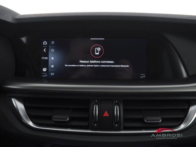 ALFA ROMEO Stelvio usata 14