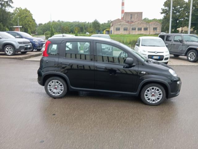 FIAT Panda usata, con Alzacristalli elettrici