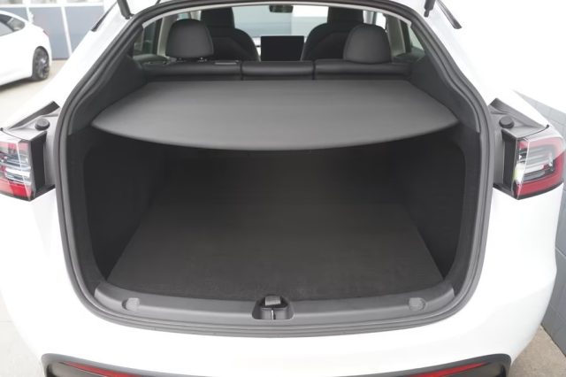 TESLA Model Y usata, con Fendinebbia