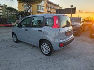 FIAT Panda usata, con Antifurto