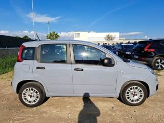 FIAT Panda usata, con Airbag Passeggero