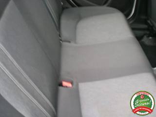 FIAT Punto usata 11