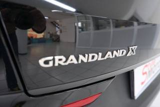 OPEL Grandland X usata 30