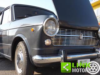 FIAT 1100 usata 36