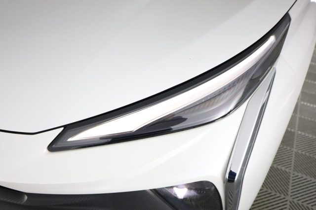 FORTHING Friday HEV usata 14