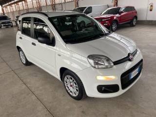 FIAT Panda usata 2