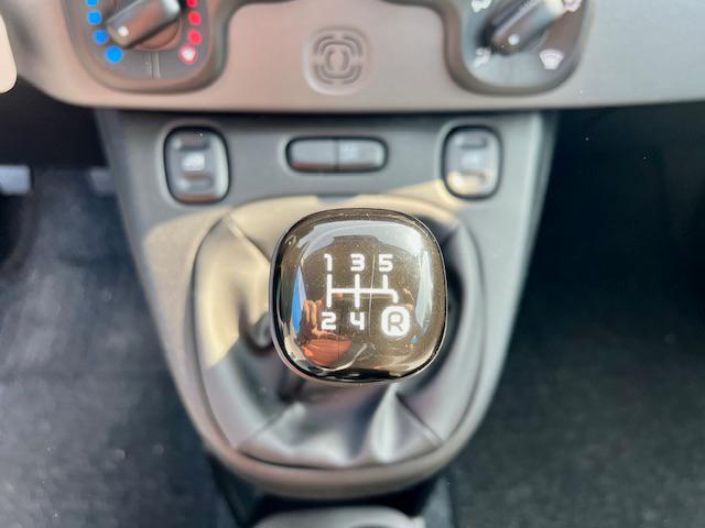FIAT Panda usata, con Fendinebbia