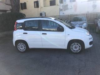 FIAT Panda usata 8