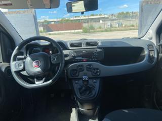 FIAT Panda usata, con Airbag testa