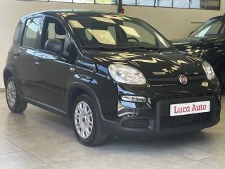 FIAT Panda usata, con Alzacristalli elettrici