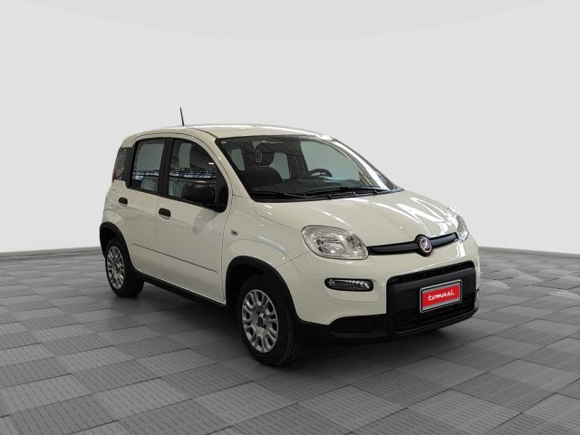 FIAT Panda usata 6