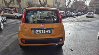 FIAT Panda usata, con Alzacristalli elettrici