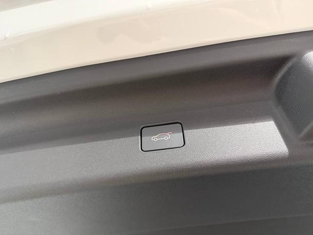 FORTHING U-Tour usata, con Portellone posteriore elettrico