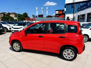 FIAT Panda usata, con Alzacristalli elettrici