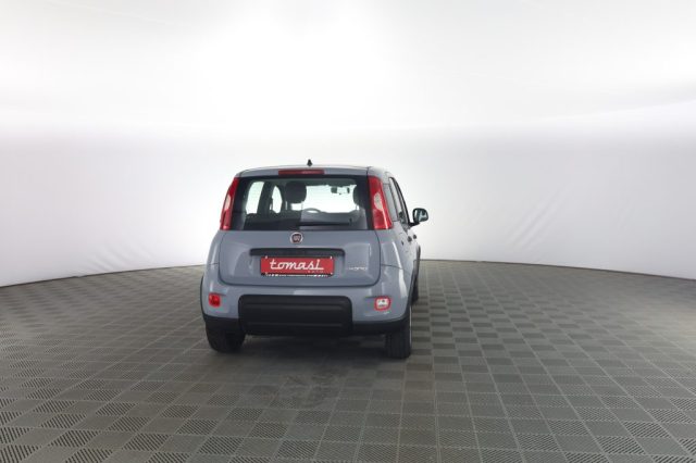 FIAT Panda usata 4