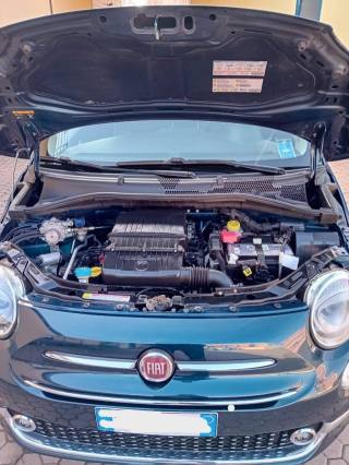 FIAT 500 usata 6