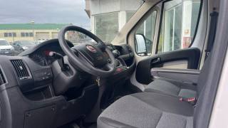 FIAT Ducato usata, con Immobilizzatore elettronico