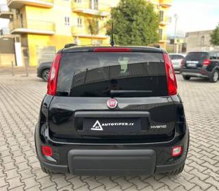 FIAT Panda usata, con Antifurto