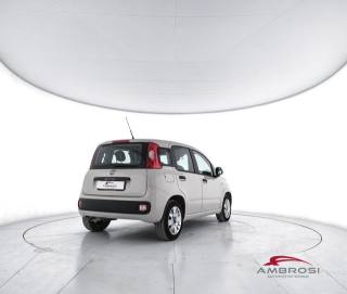 FIAT Panda usata 2