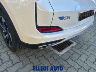 EMC Sei usata, con Controllo trazione