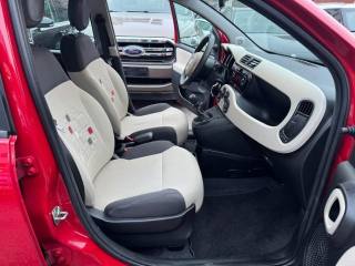 FIAT Panda usata, con Fendinebbia