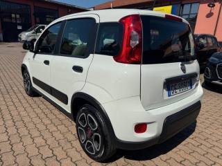 FIAT Panda usata, con Airbag Passeggero