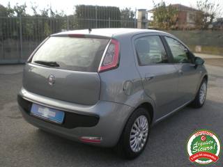 FIAT Punto usata 7