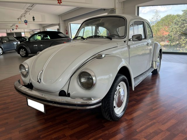 VOLKSWAGEN Maggiolone usata 2