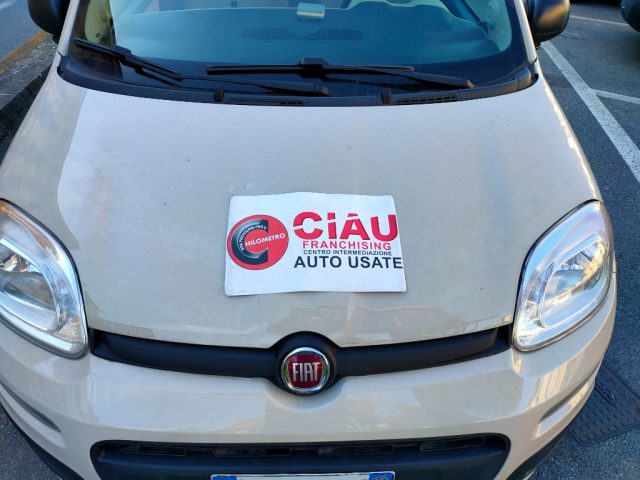 FIAT Panda usata 19