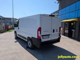 FIAT Ducato usata 19