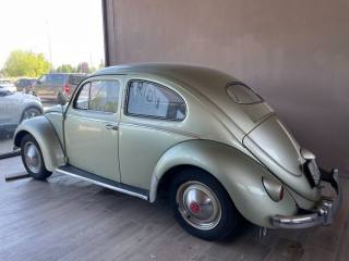 VOLKSWAGEN Maggiolino usata 2