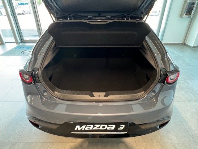MAZDA 3 usata, con Immobilizzatore elettronico