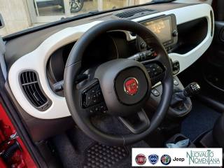 FIAT Panda usata, con Chiusura centralizzata telecomandata