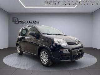 FIAT Panda usata, con Volante in pelle