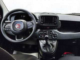 FIAT Panda usata 14