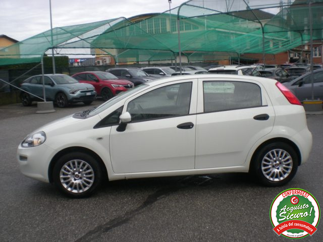FIAT Punto usata, con Climatizzatore