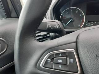 FORD EcoSport usata, con Cruise Control