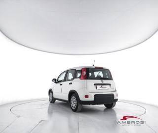 FIAT Panda usata 3