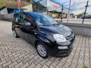 FIAT Panda usata, con Controllo trazione