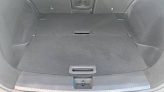 NISSAN X-Trail usata, con Servosterzo