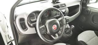 FIAT Panda usata 46