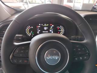 JEEP Renegade usata, con Riconoscimento dei segnali stradali